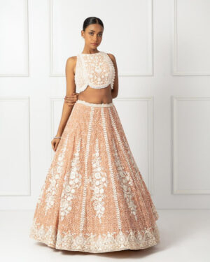 Peach Embroidered Lehenga Set-04