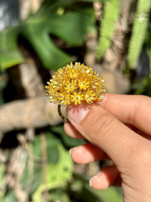 Springtime Sunshine Ring Goldb